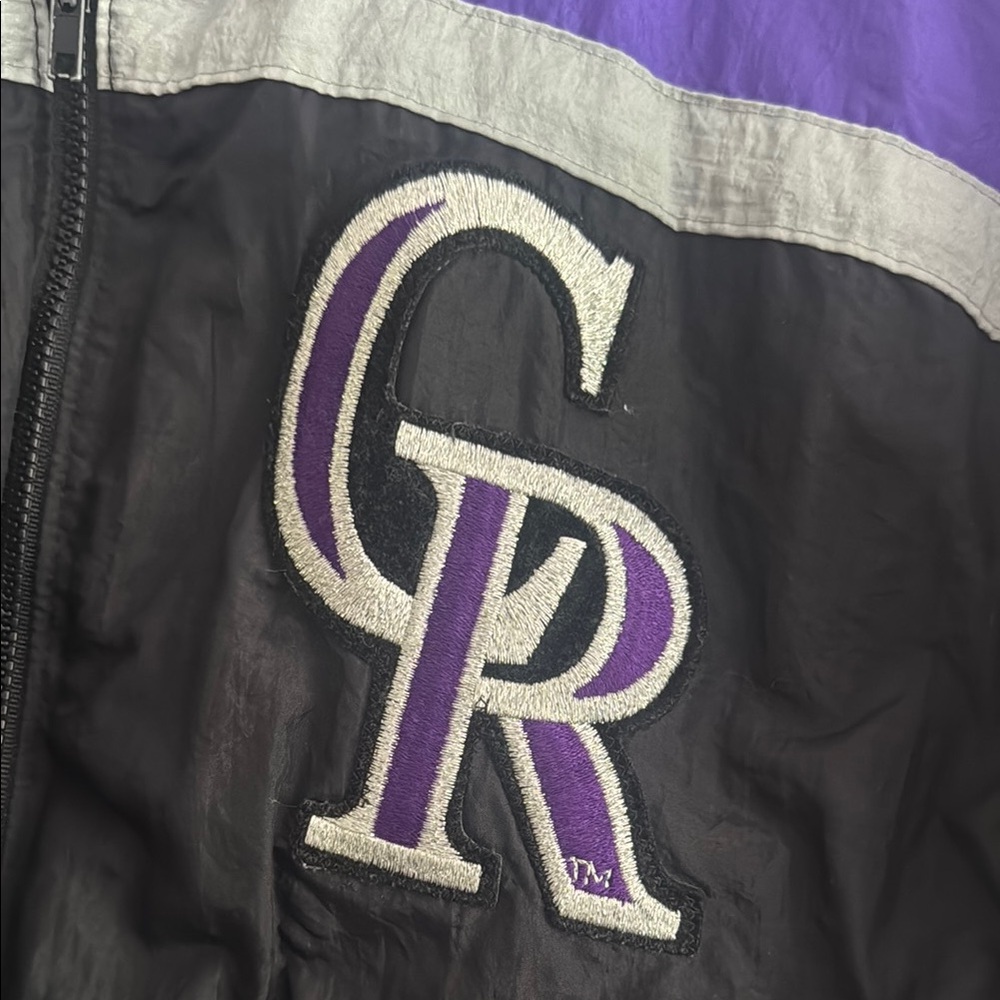 Purple and Black Hooded Jacket - Picture 3 of 4
